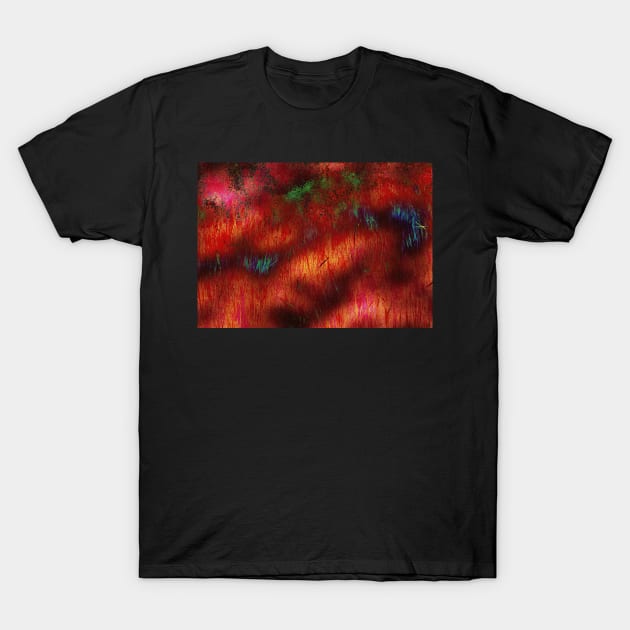 Wild Fire-Available As Art Prints-Mugs,Cases,Duvets,T Shirts,Stickers,etc T-Shirt by born30